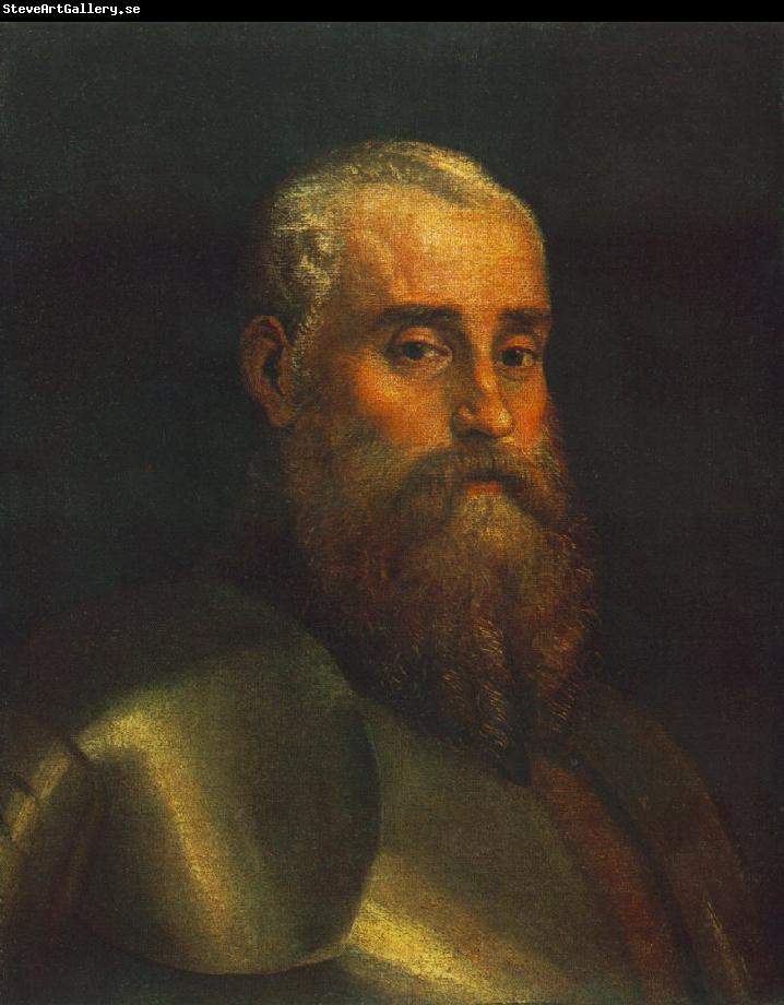 VERONESE (Paolo Caliari) Portrait of Agostino Barbarigo wr